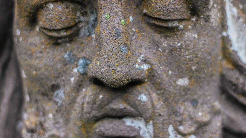man's face statue