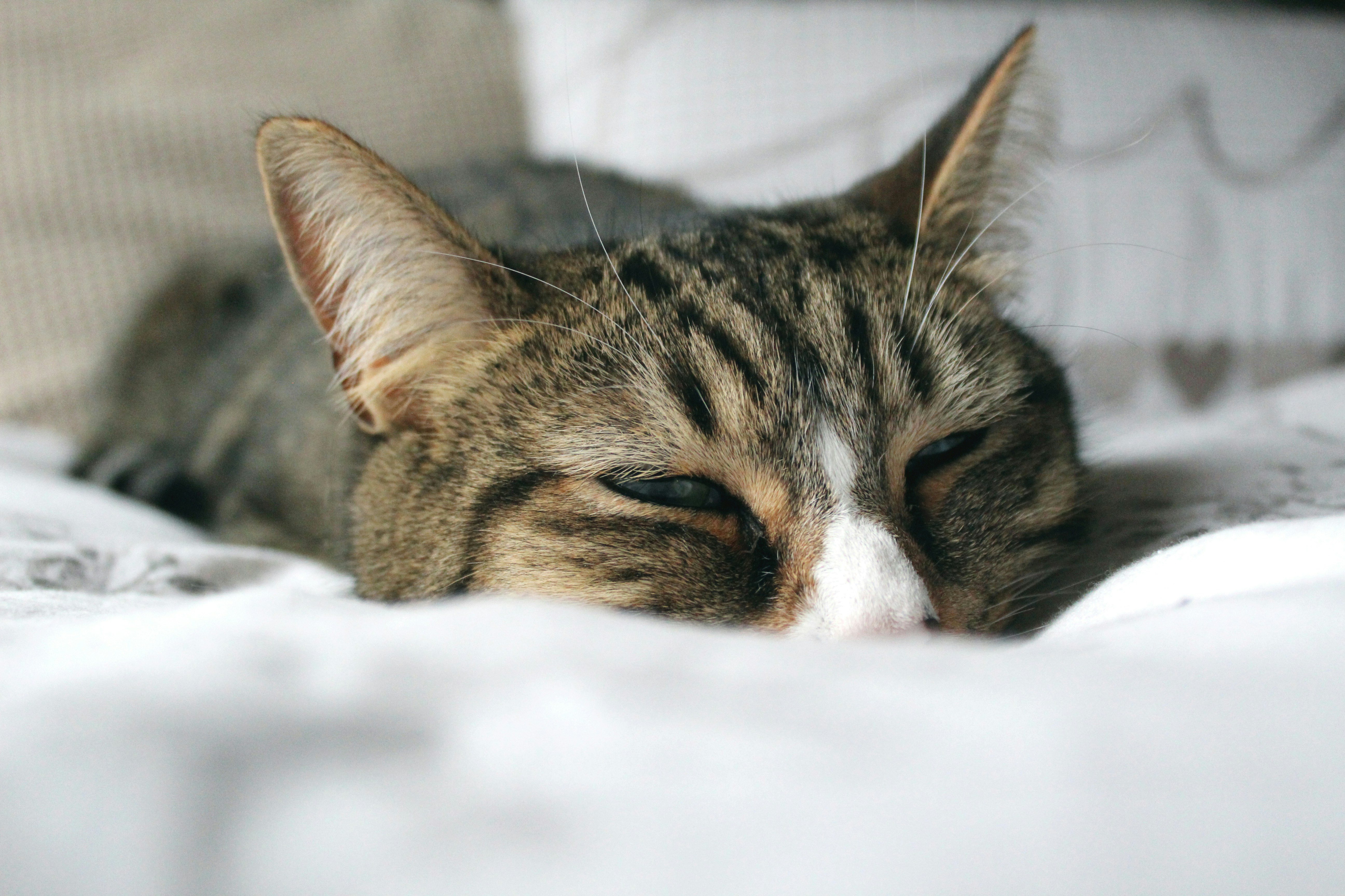 Photo by heathermcinnes