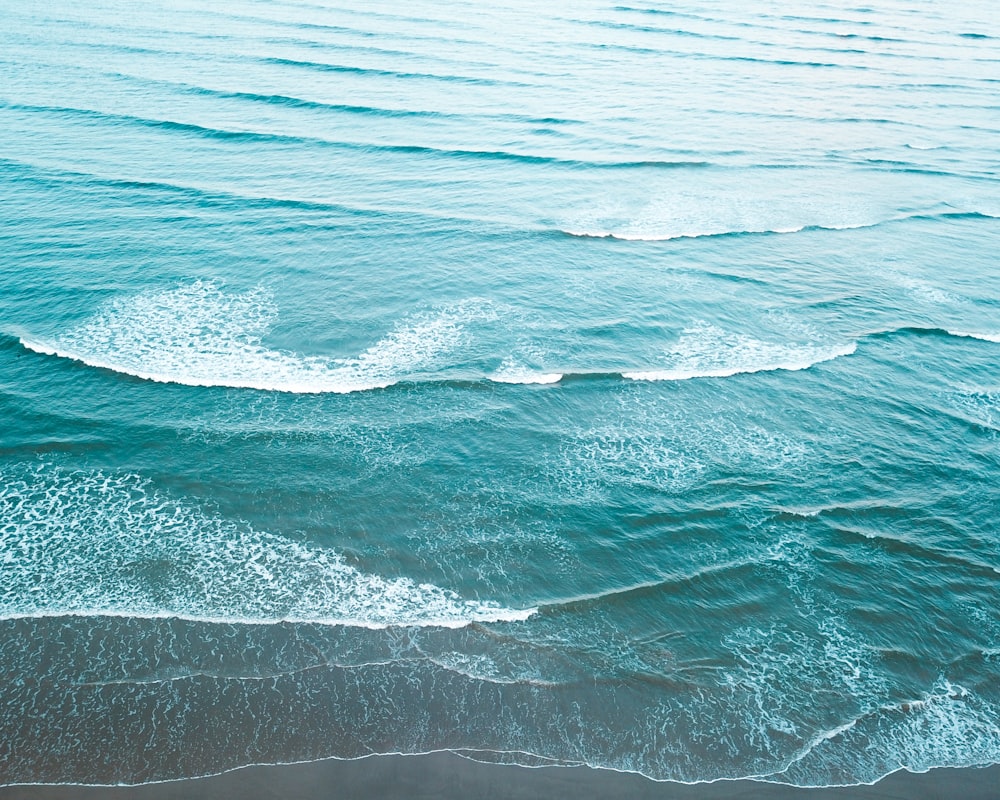 aerial photo of seashore during daytime