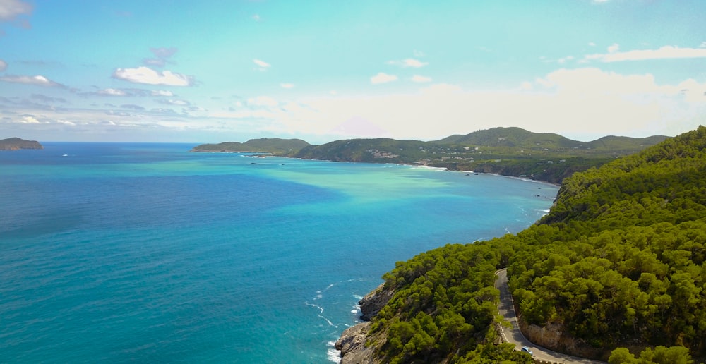 birds eye photography of body of water