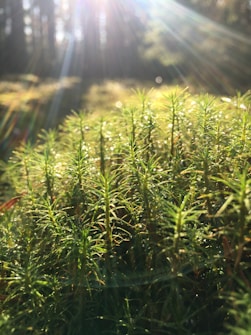Photo 1547986589 Feb76fa0d707?q=85&w=625&h=335&fit=crop