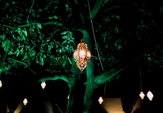 Soft glowing lanterns hanging from tree branches in a garden.
