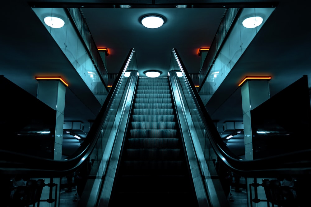 empty escalator