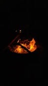 A close-up of a campfire surrounded by nature at dusk.