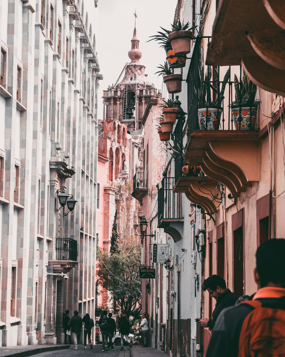 people walking at alley during daytime