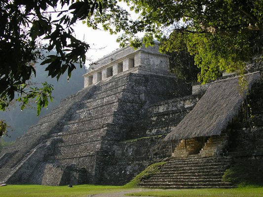 Pyramid surrounded by trees — Palenque, Mexico