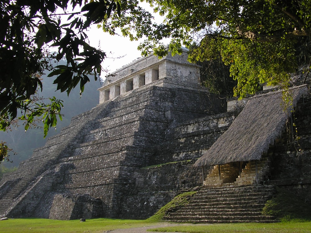 piramide circondata da alberi