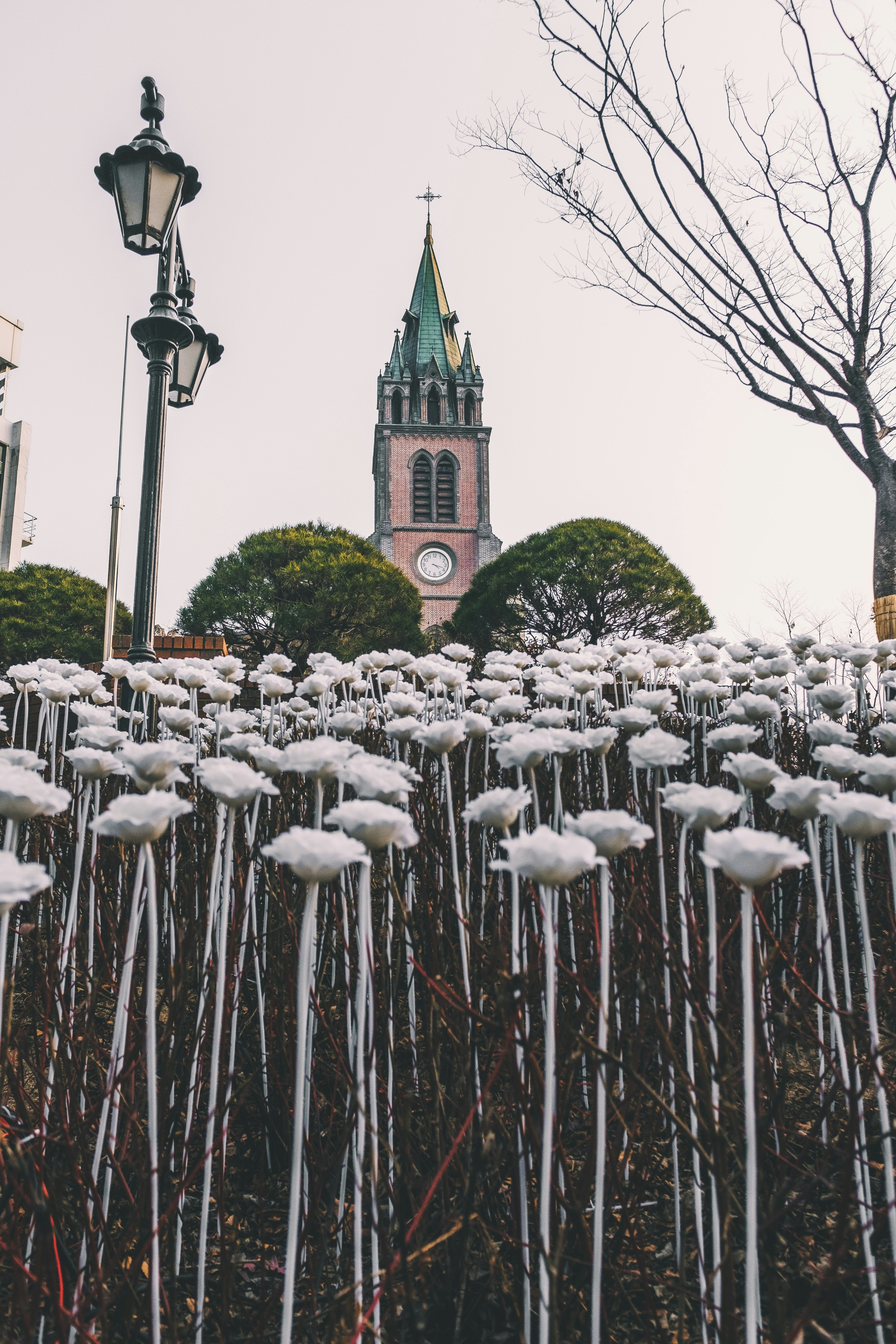 白い空の下のコンクリートの塔の近くの花の写真 Unsplashで見つける茶色の無料写真