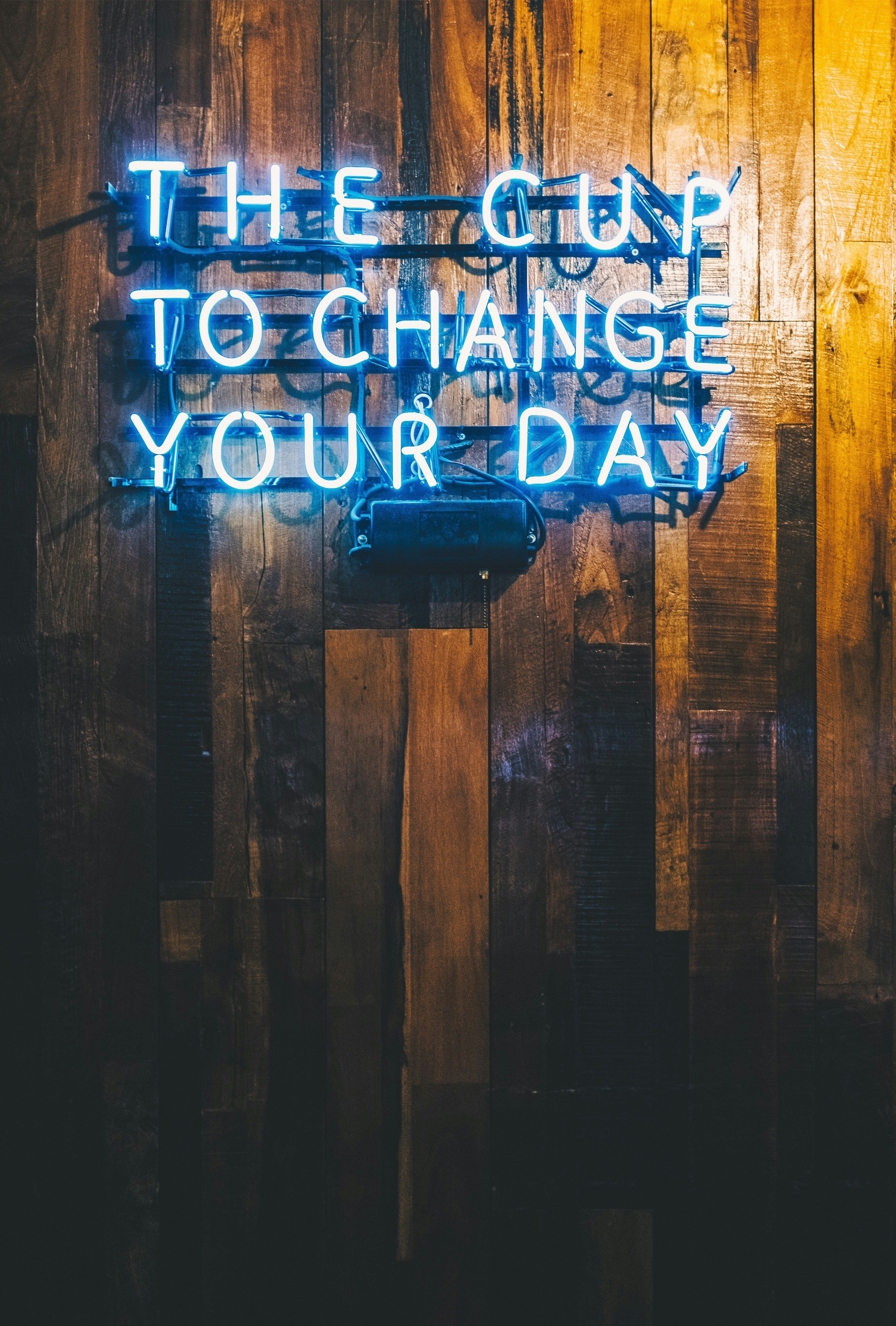 Kendine Bir Şans Ver: Dene