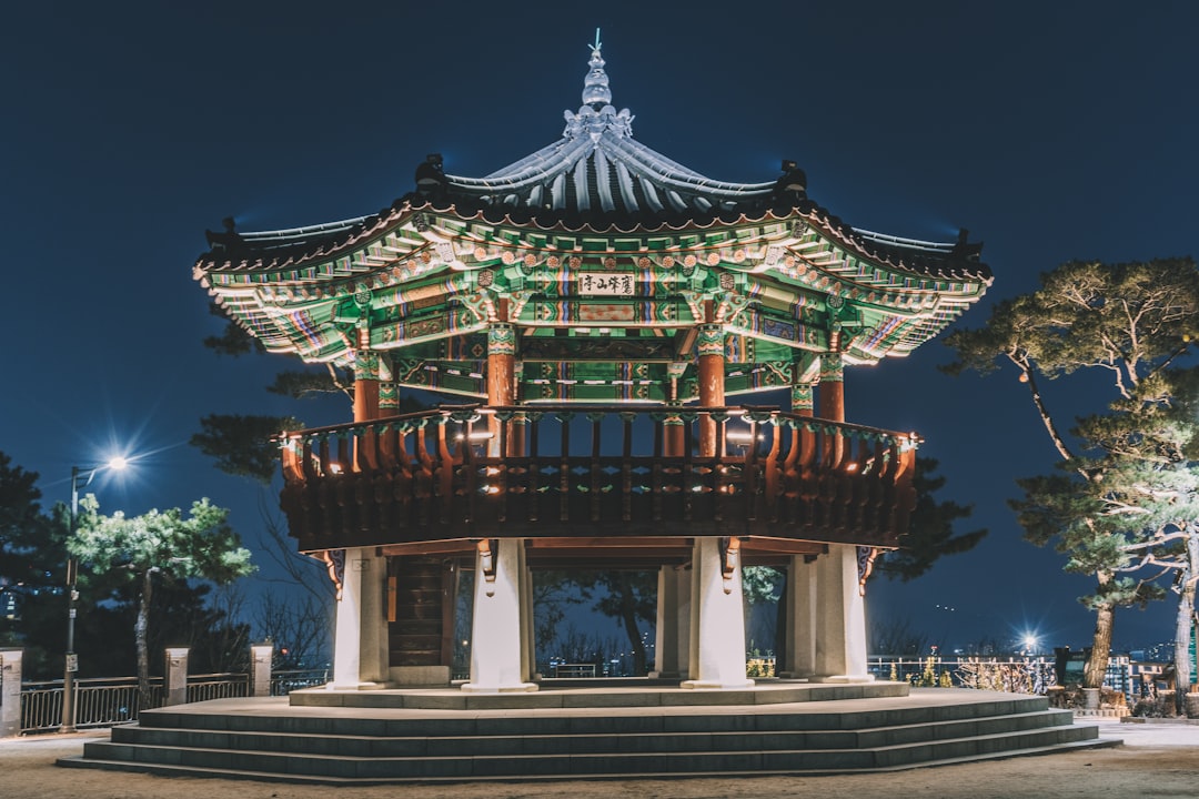 multicolored pagoda with lights turned -on