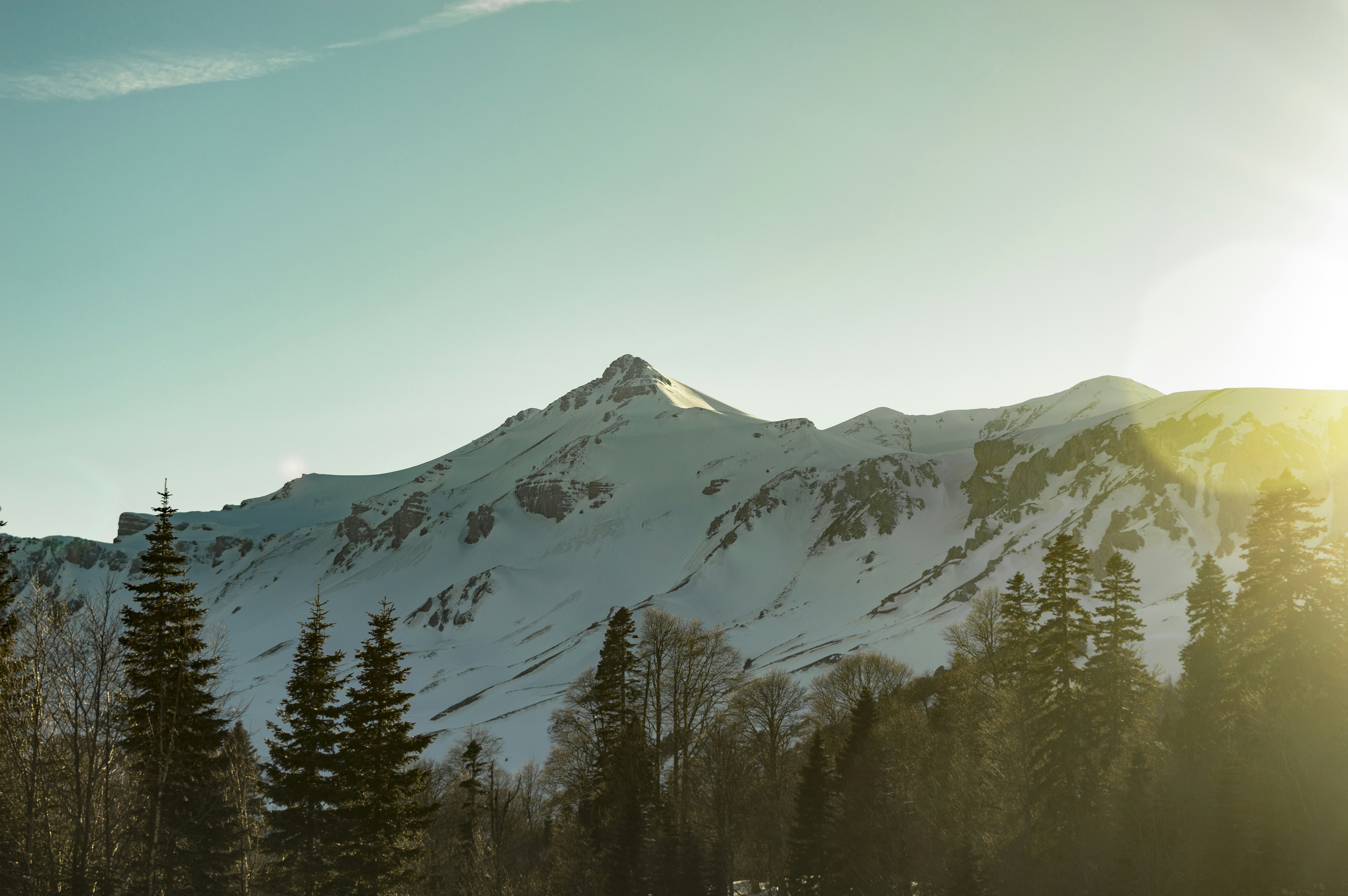 Photo by sopuresocold