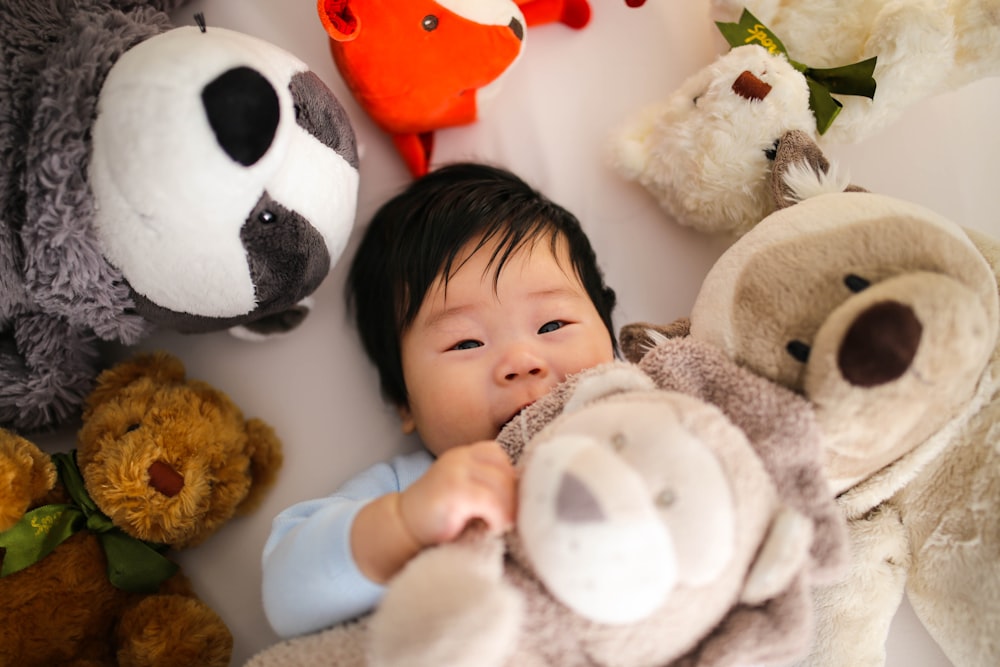 baby playing brown bear plush toys