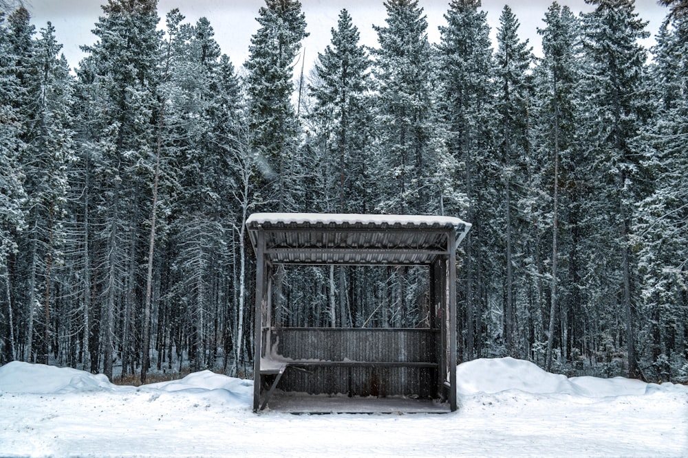 brown wooden tent near snow covered trees