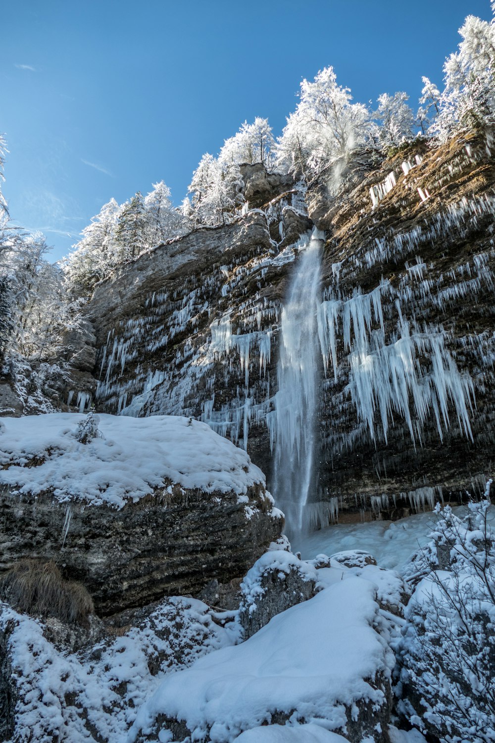 snow covered trees and waterfalls