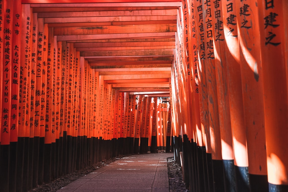 orange and black wooden hall