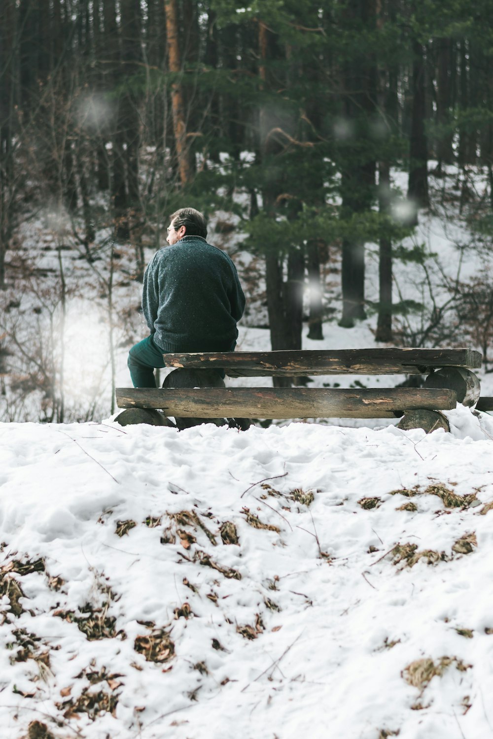 man sitting on brown bench near trees