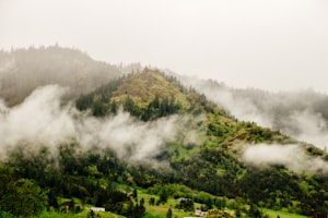 Safe and Sound: Your Guide to Staying Secure in Darjeeling