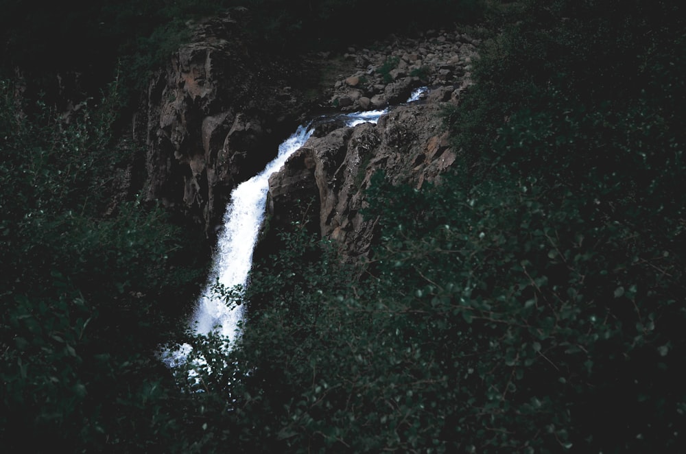 waterfalls surrounded by trees