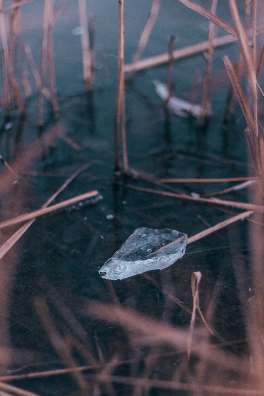 close up photo of white stone in body of water