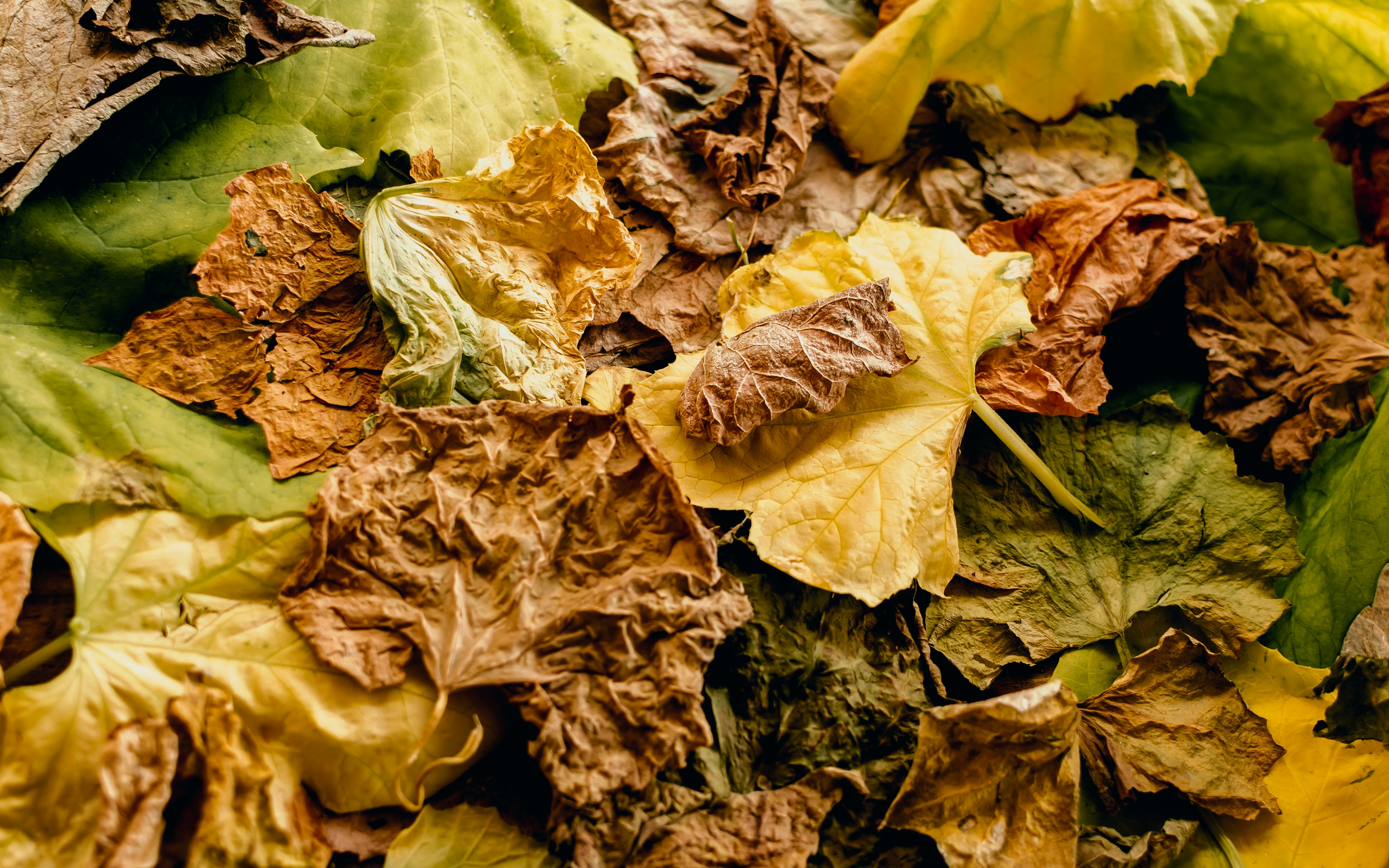 コンポストで電気代削減と生ごみ処理を両立する方法は？堆肥化省エネ関連画像