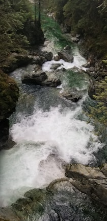 Crystal-clear river flowing through mossy rocks beneath towering green canopies.