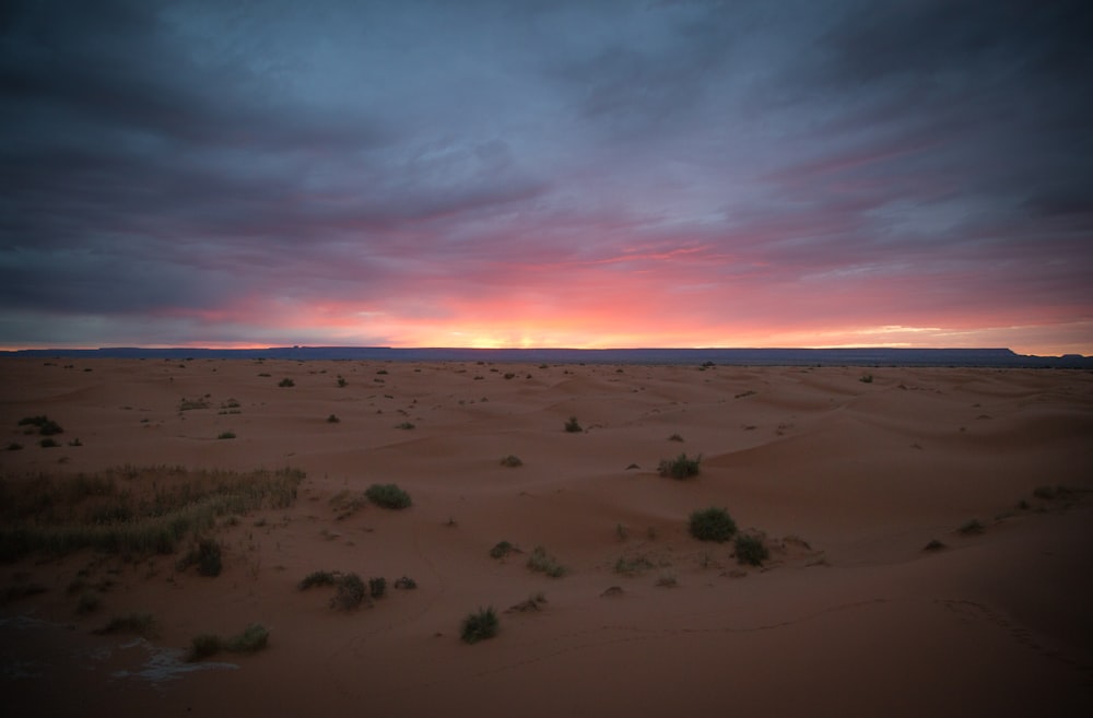 Vista das dunas de areia durante a hora dourada