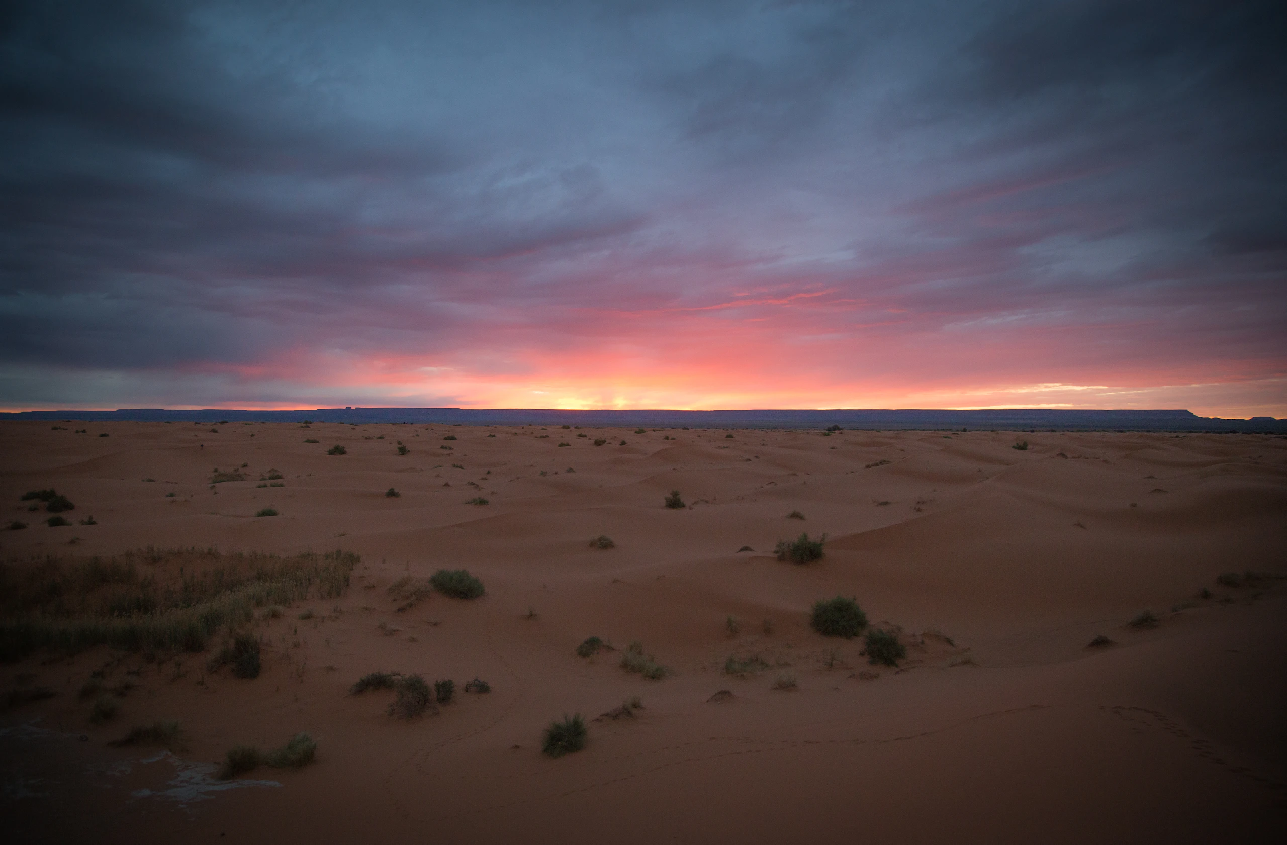Open desert at dusk, a thin band of pink light along the horizon.