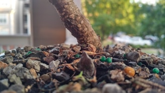Close-up of eco-friendly pest control treatment being applied safely around a commercial building's foundation.