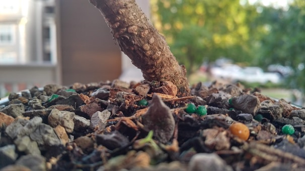 Close-up of eco-friendly pest control treatment being applied safely around a commercial building's foundation.