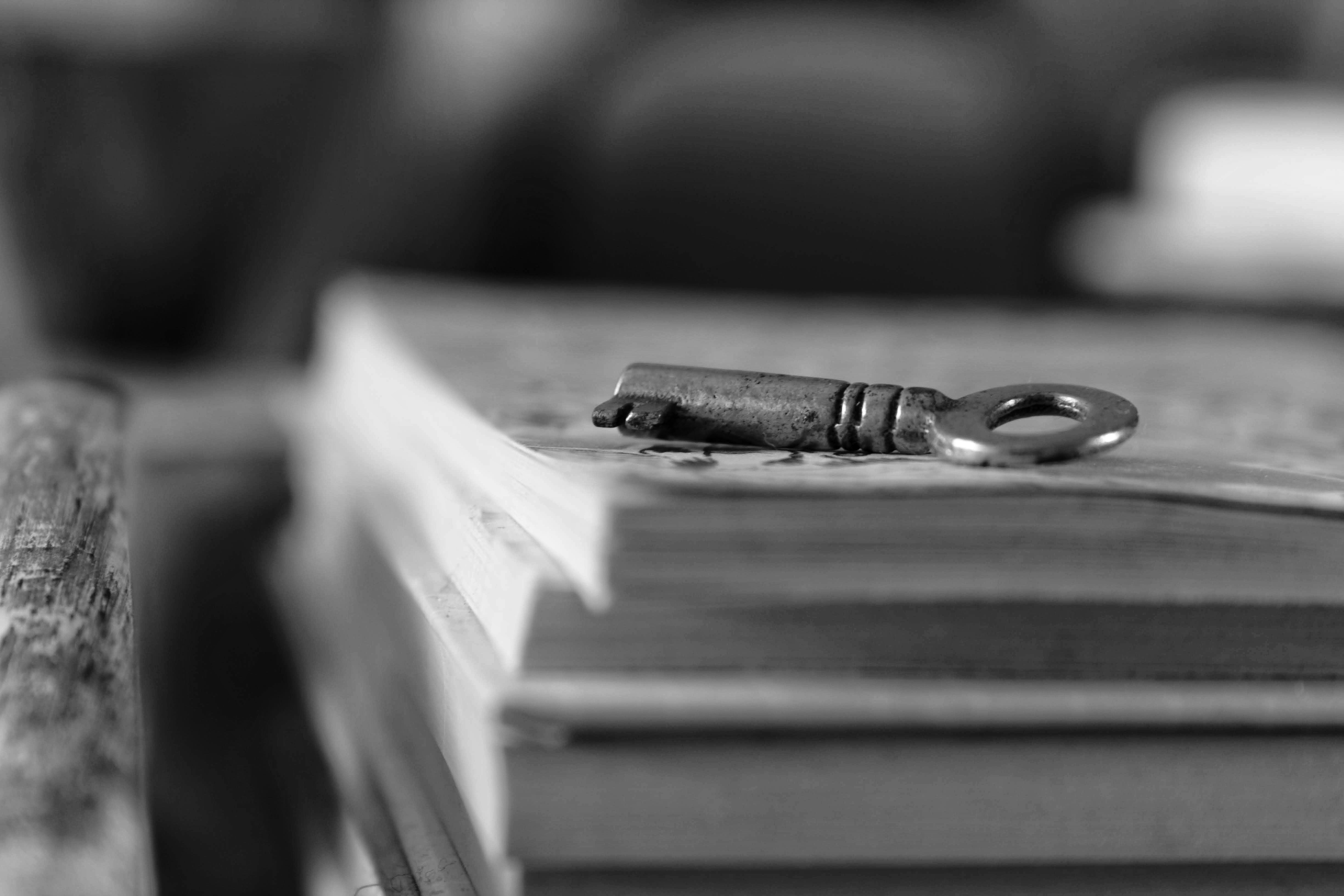 photo 1548020562 ae9ecaea1a51?ixlib=rb 4.0