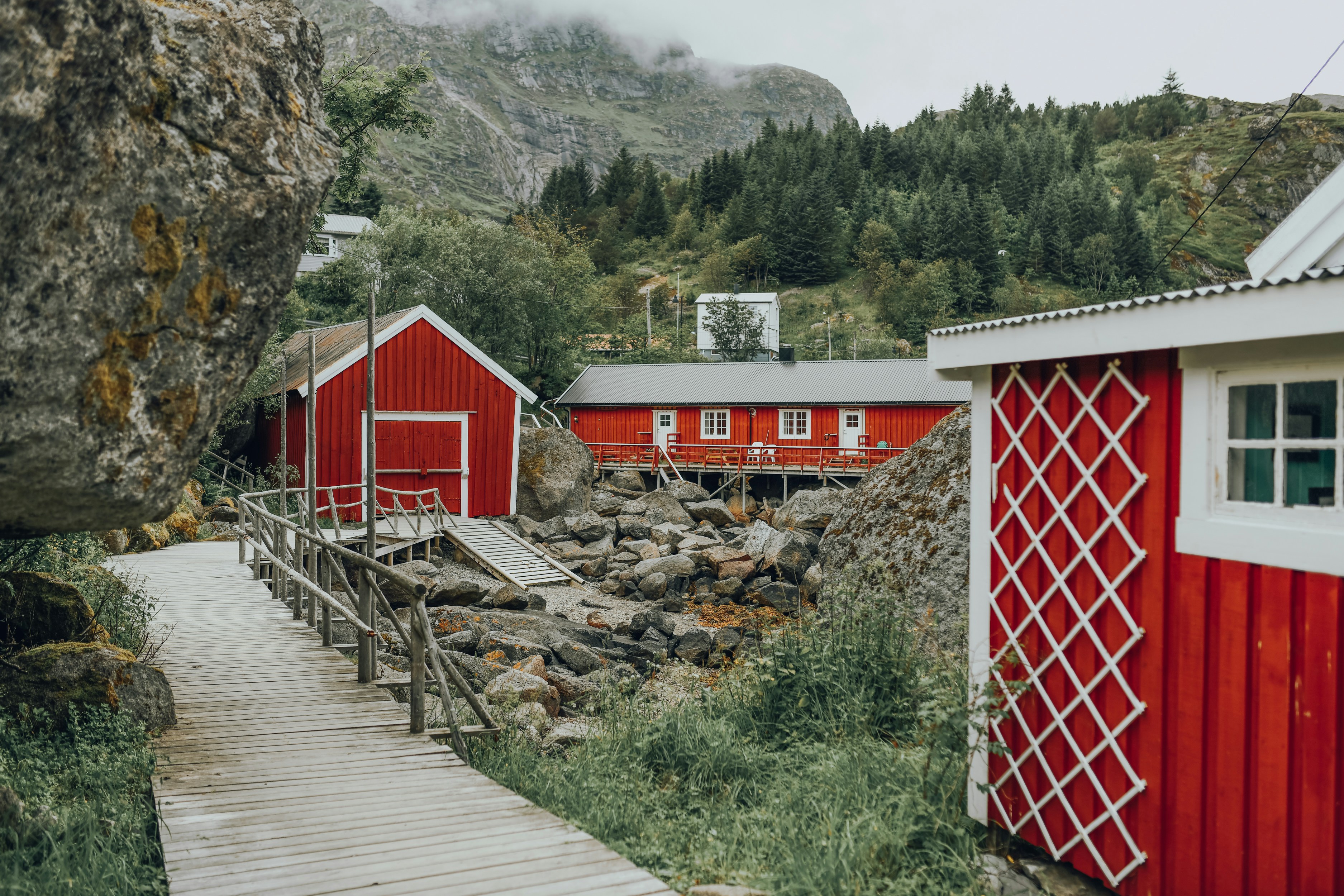 Photo by alinashchurova