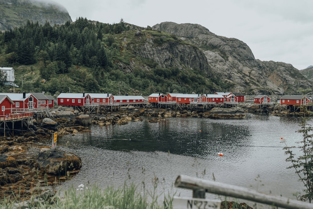 red houses beside sea and mountain during daytime in nature photography