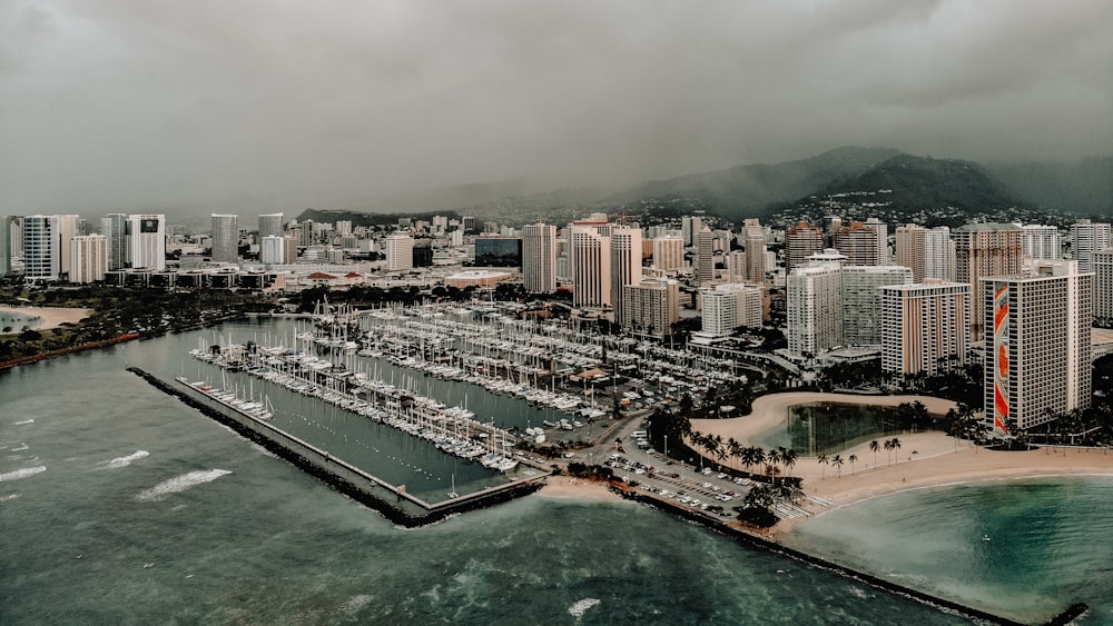 aerial photo of high rise building beside sea