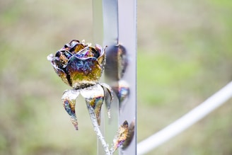 A close-up of a rose gold decorative wall piece shimmering softly against a matte black background