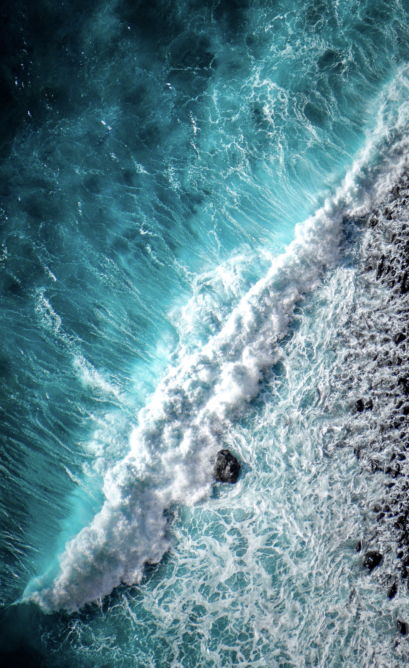 Bondi Beach Sydney