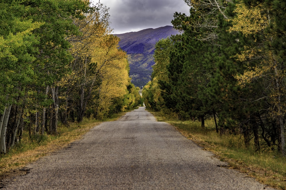 gray pathway