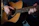 A person is playing an acoustic guitar, gently strumming the strings with their right hand while their left hand holds the neck of the guitar.
