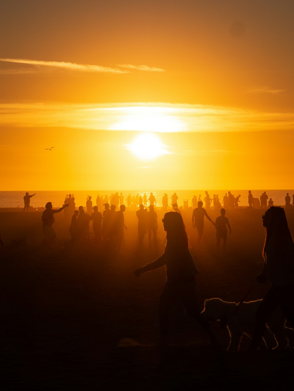 silhouette of people on beach during golden hour