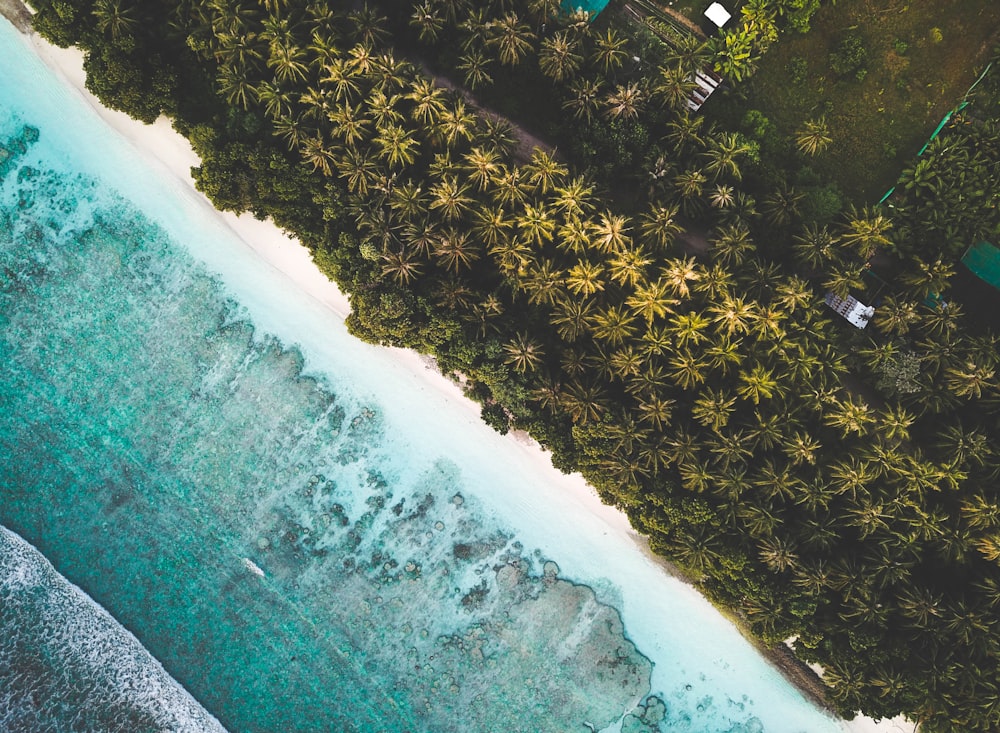 aerial photo of resort