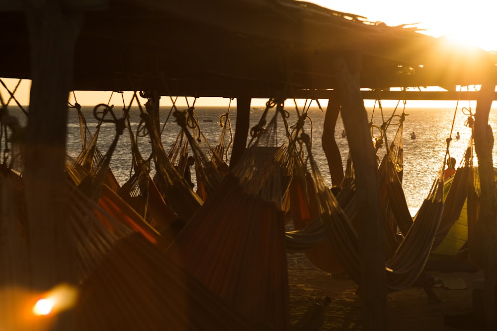 assorted-color hammocks under wooden shed beside sea