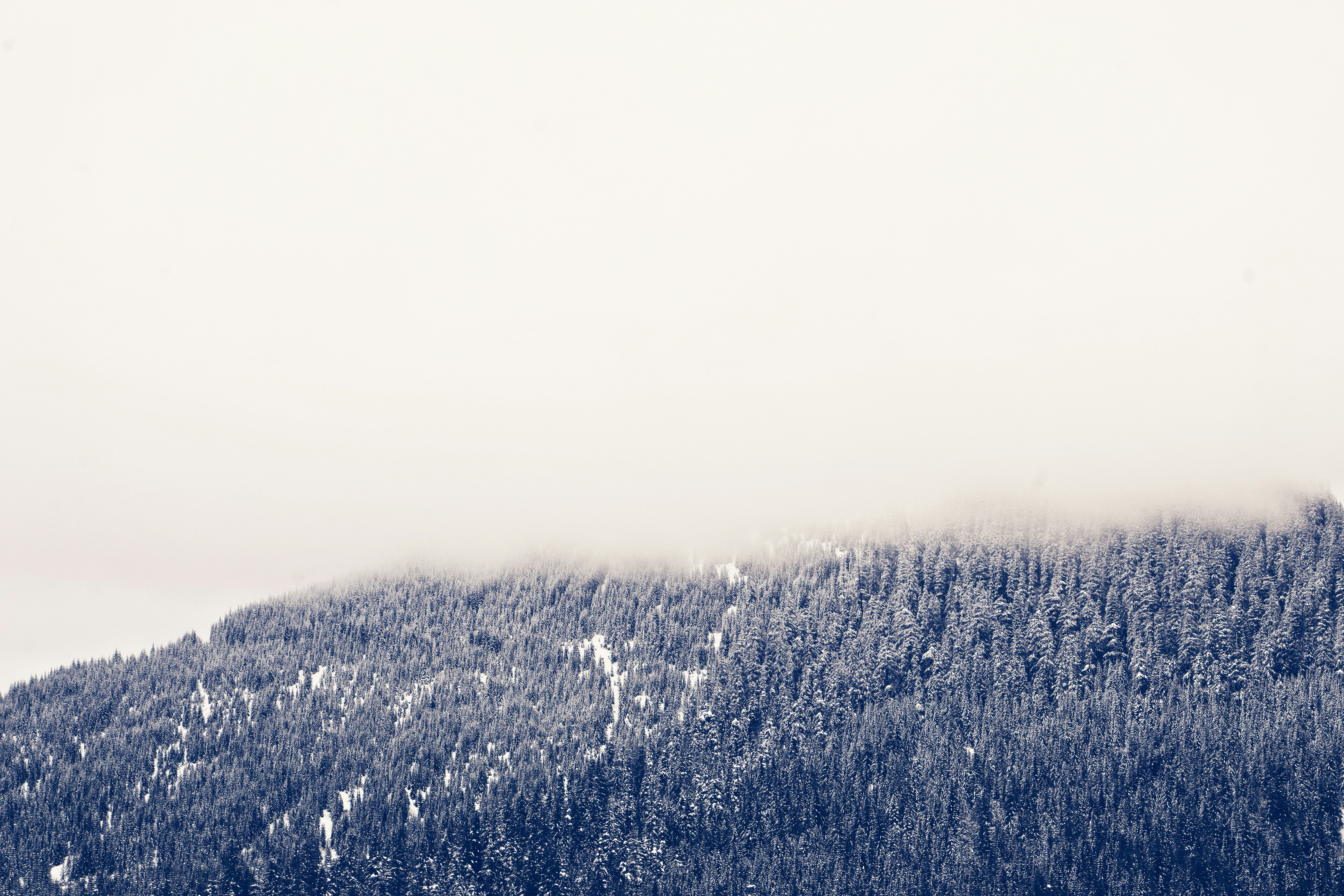 Photo by biancasaybe