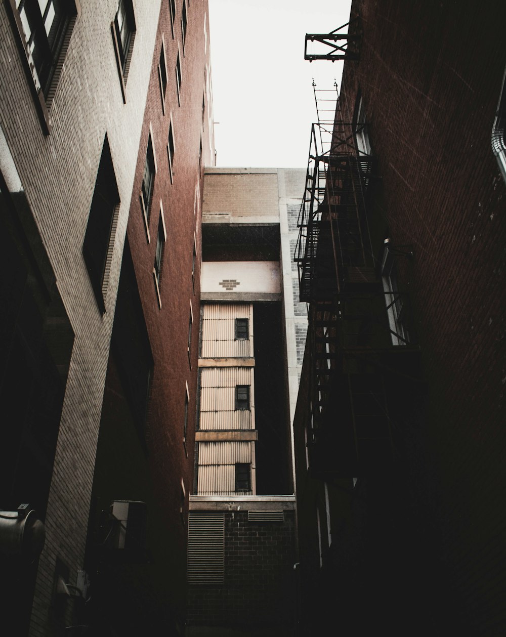 brown painted building