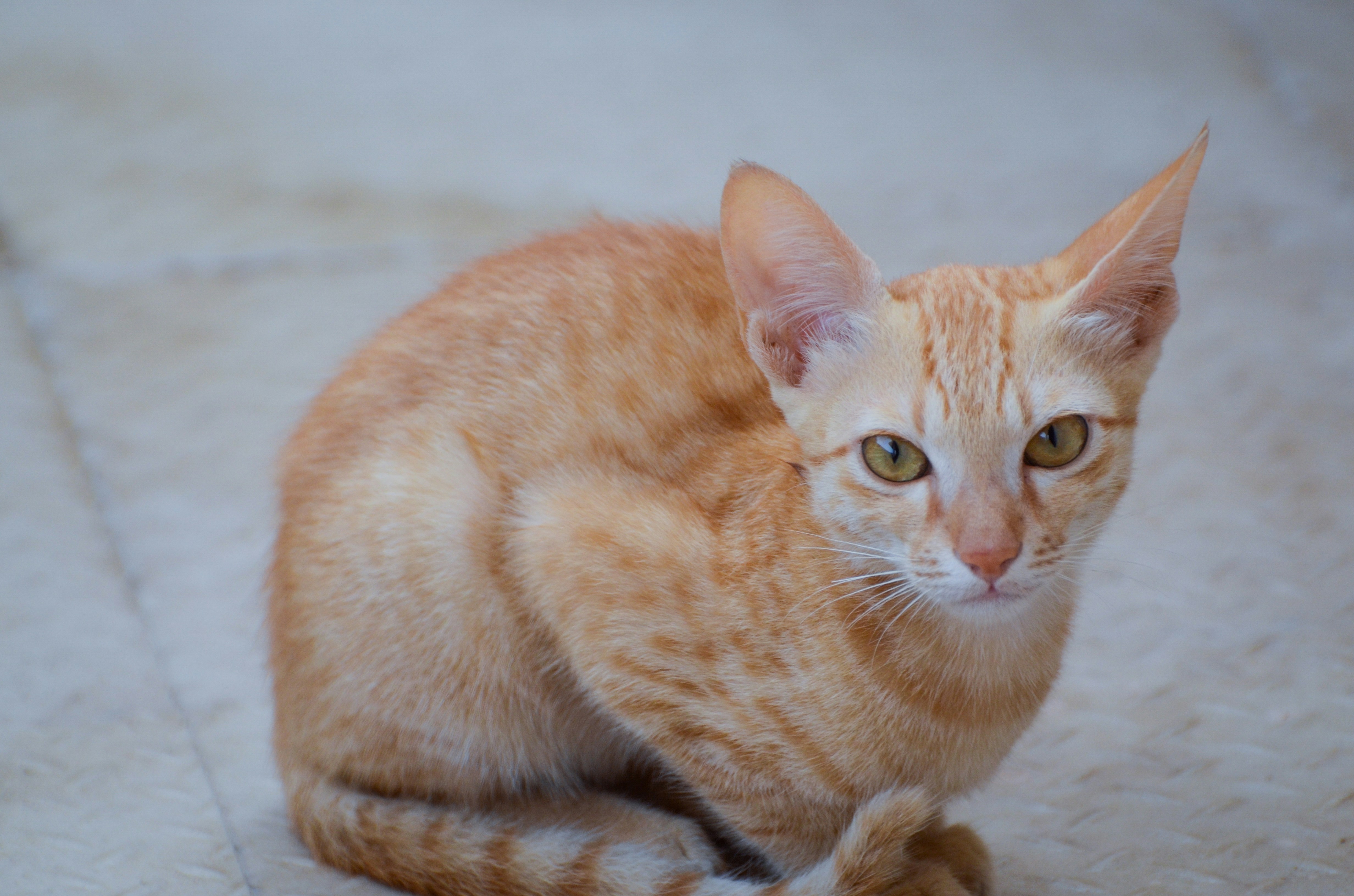 Photo by judson_paul