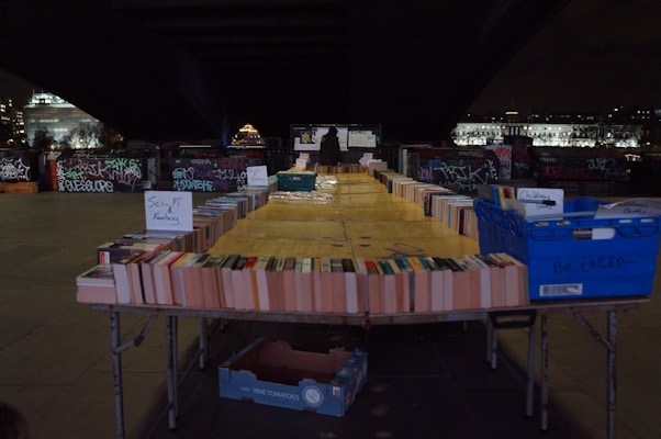 A makeshift outdoor bookstall displays a wide array of books organized in rows on tables. Signs indicate different genres like Sci-Fi and Fantasy. The setting is under a bridge with graffiti-covered walls and city lights in the background, creating a dimly lit yet vibrant urban atmosphere.