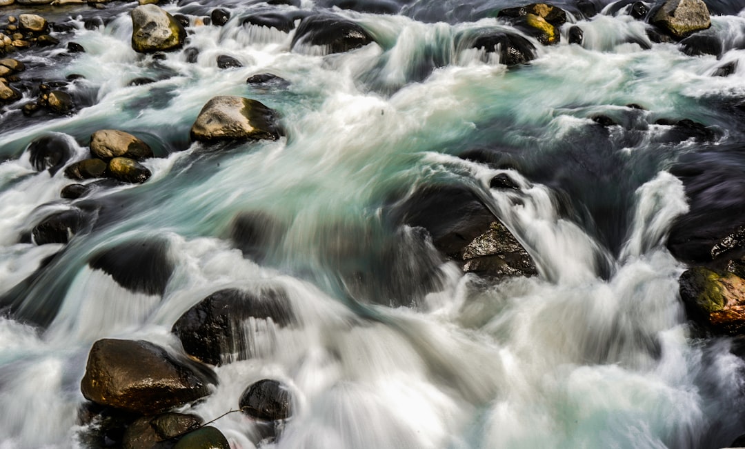 flowing body of water passing through stones