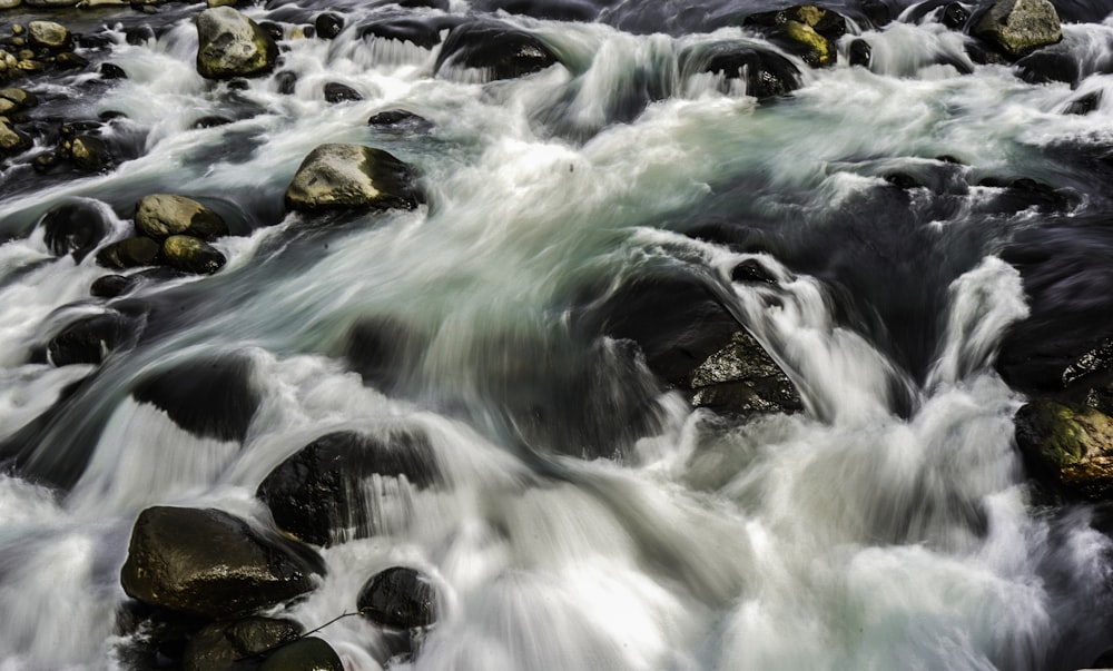 flowing body of water passing through stones