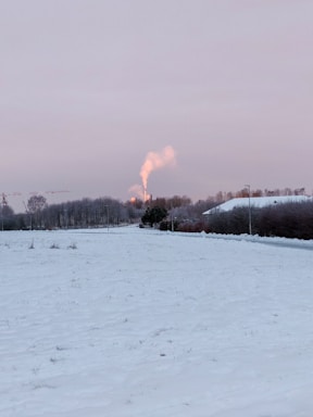 A snowy field stretches into the distance with a line of trees on the horizon. In the background, a factory emits a plume of smoke into a pale, overcast sky, creating a stark contrast with the white snow. The scene is serene yet industrial, blending nature and human impact.