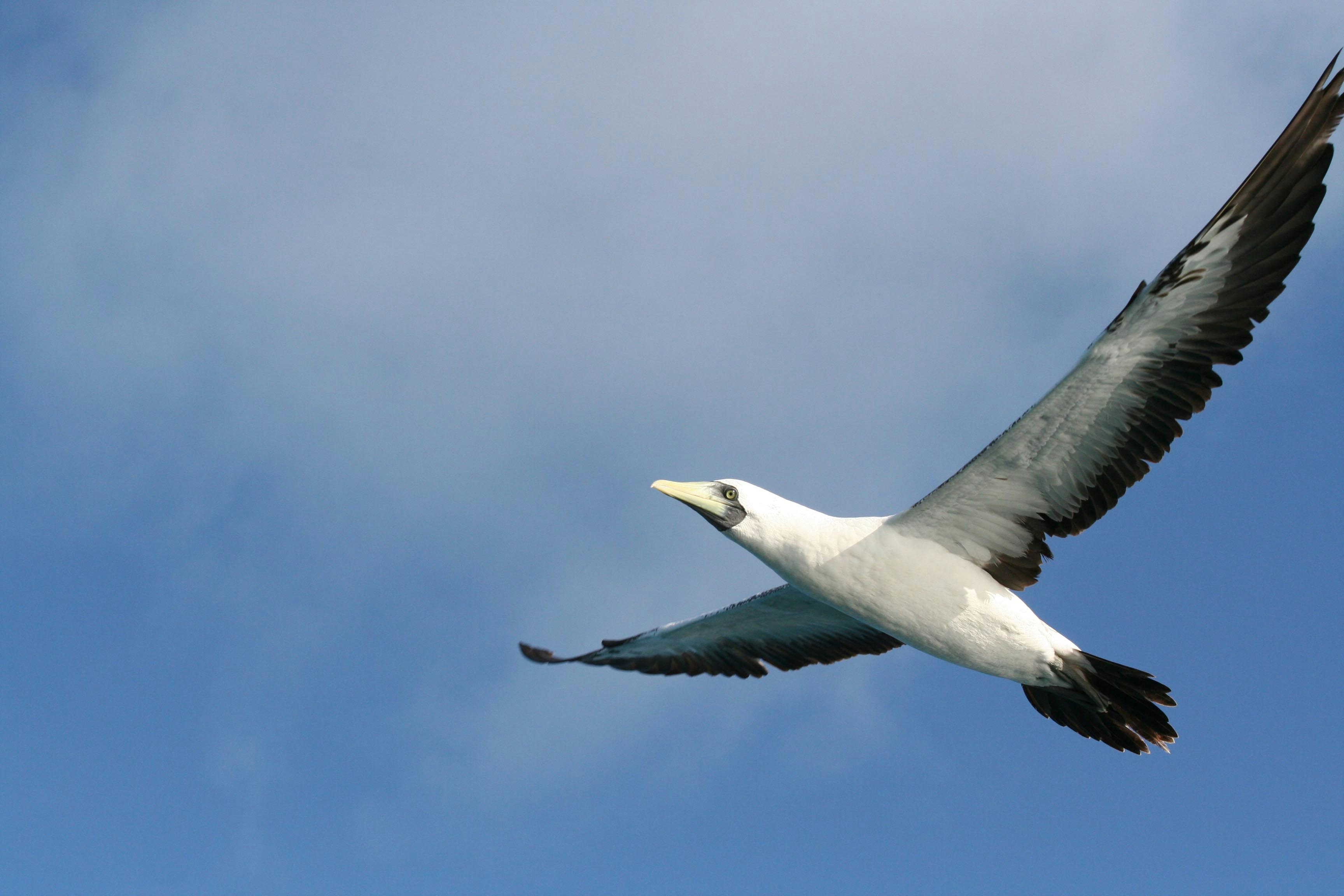 Photo by brendonstewart76