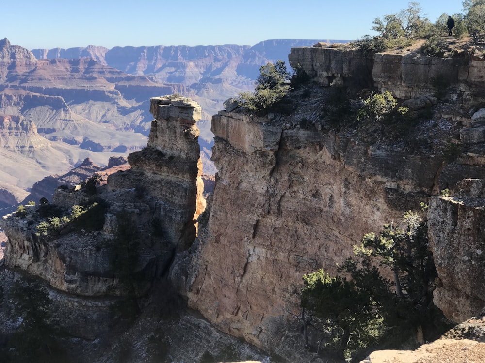 Grand Canyon tagsüber