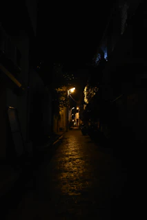 A dimly lit alleyway with shadows hinting at hidden secrets.
